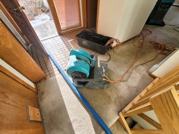Best Commercial water damage restoration  in Melbourne, FL