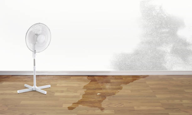 Best Ceiling water damage repair  in Melbourne, FL