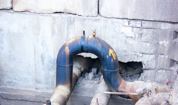 Best Local water damage restoration  in Melbourne, FL